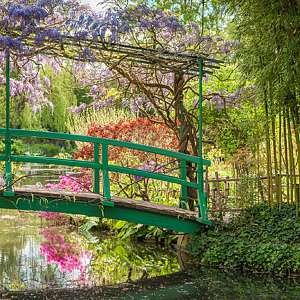 Monet gardens